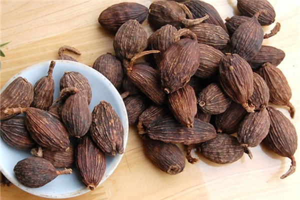 草豆蔻可以做調(diào)料嗎 草豆蔻可以燉肉嗎 草豆蔻可以做調(diào)料嗎 草豆蔻可以燉肉嗎