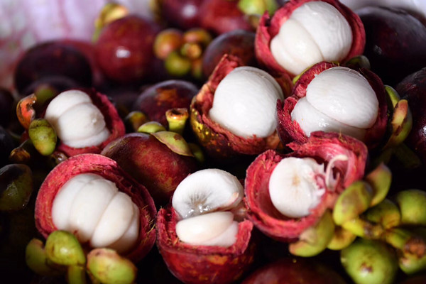 山竹怎么看熟沒(méi)熟 山竹沒(méi)熟可以吃嗎 山竹怎么看熟沒(méi)熟 山竹沒(méi)熟可以吃嗎