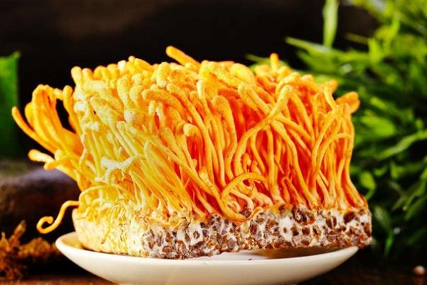 蟲(chóng)草花哪些人不能吃 蟲(chóng)草花和什么相克