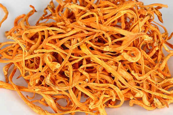 蟲(chóng)草花哪些人不能吃 蟲(chóng)草花和什么相克