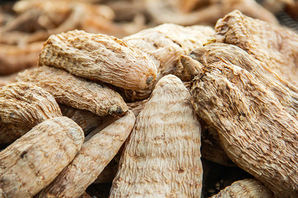 天麻泡水可以空腹喝嗎 天麻可以直接煮水嗎 天麻泡水可以空腹喝嗎 天麻可以直接煮水嗎