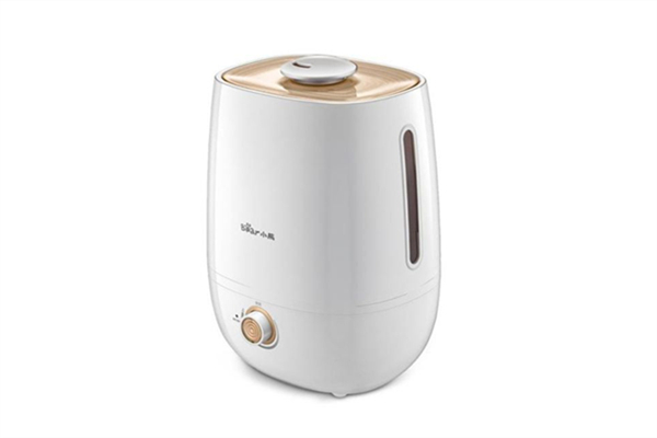 加濕器買有霧的還是無(wú)霧的 加濕器買多大容量好 加濕器買有霧的還是無(wú)霧的 加濕器買多大容量好