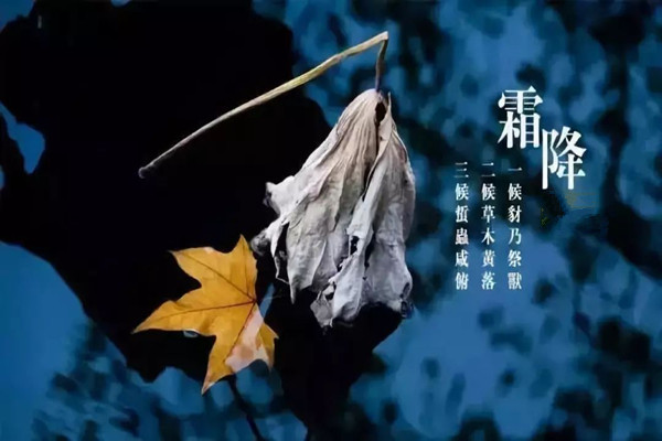 霜降一定會(huì)下霜嗎 霜降溫度大約是多少 霜降一定會(huì)下霜嗎 霜降溫度大約是多少