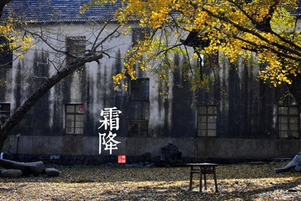 霜降一定會(huì)下霜嗎 霜降溫度大約是多少 霜降一定會(huì)下霜嗎 霜降溫度大約是多少