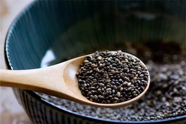 奇亞籽是碳水還是蛋白質(zhì) 奇亞籽可以代餐嗎 奇亞籽是碳水還是蛋白質(zhì) 奇亞籽可以代餐嗎