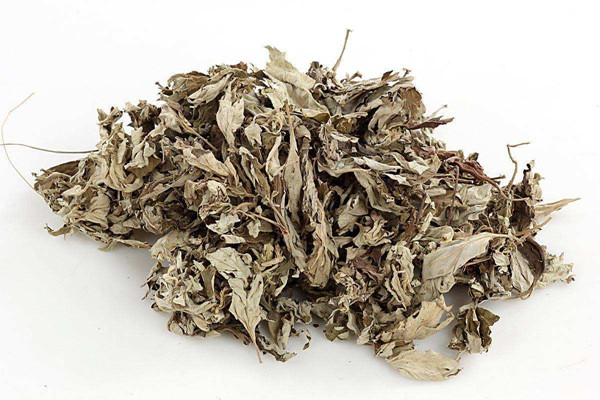 艾葉煮水要煮多久 艾葉煮水喝有什么功效 艾葉煮水要煮多久 艾葉煮水喝有什么功效