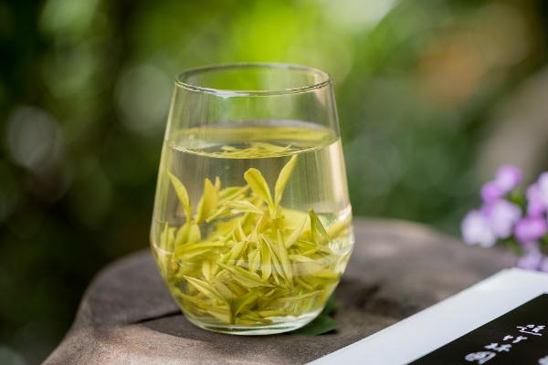 安吉白茶會(huì)傷胃嗎 安吉白茶會(huì)不會(huì)失眠 安吉白茶會(huì)傷胃嗎 安吉白茶會(huì)不會(huì)失眠