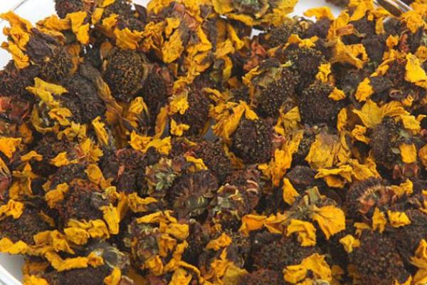 雪菊對(duì)高血壓降壓有用嗎 糖尿病能喝雪菊嗎 雪菊對(duì)高血壓降壓有用嗎 糖尿病能喝雪菊嗎