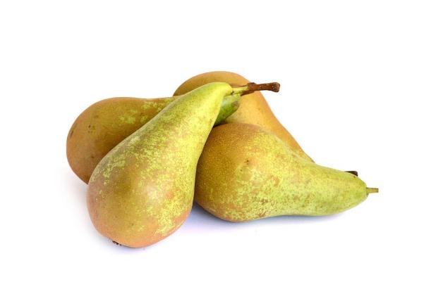 啤梨糖分高嗎 糖尿病可以吃青啤梨嗎 啤梨糖分高嗎 糖尿病可以吃青啤梨嗎