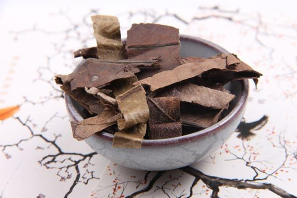 枇杷葉煮水是用新葉還是老葉 枇杷葉煮水可以泡腳嗎 枇杷葉煮水是用新葉還是老葉 枇杷葉煮水可以泡腳嗎