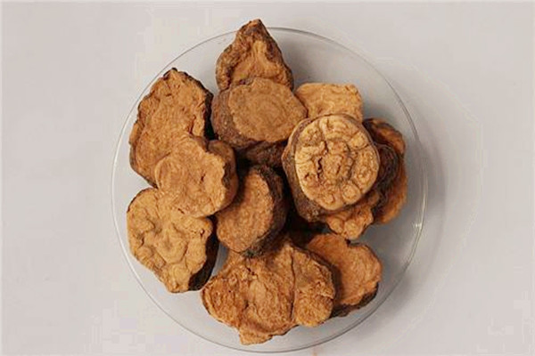 何首烏可以煲湯嗎 何首烏煲湯用什么鍋 何首烏可以煲湯嗎 何首烏煲湯用什么鍋