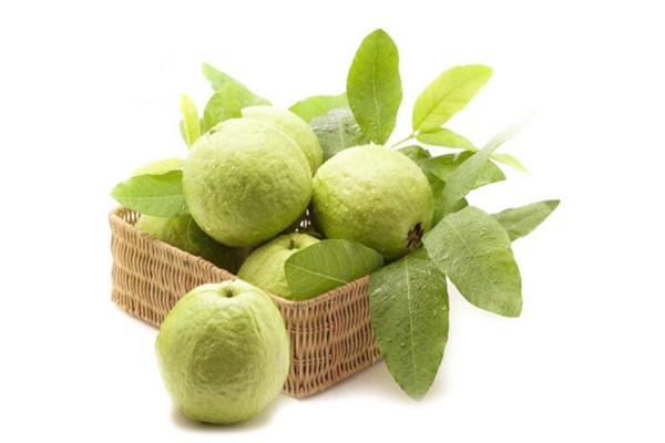 番石榴需要用鹽水泡嗎 番石榴用鹽水泡好嗎 番石榴需要用鹽水泡嗎 番石榴用鹽水泡好嗎