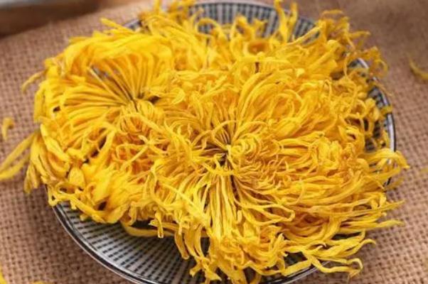 金絲皇菊對(duì)便秘有作用嗎 金絲皇菊的飲用注意事項(xiàng)