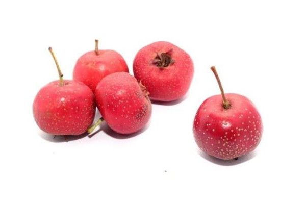 山楂有維生素c嗎 山楂有什么營養(yǎng)價(jià)值 山楂有維生素c嗎 山楂有什么營養(yǎng)價(jià)值