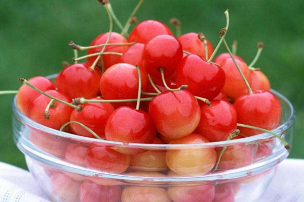 櫻桃是什么味道 櫻桃吃了會上火嗎 櫻桃是什么味道 櫻桃吃了會上火嗎