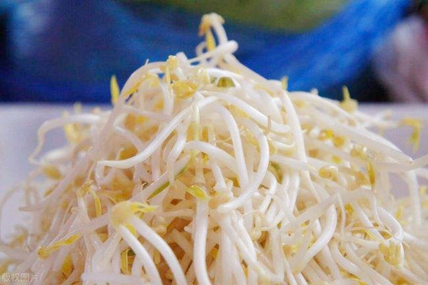 黃豆芽有什么營養(yǎng)價(jià)值 黃豆芽會(huì)中毒嗎