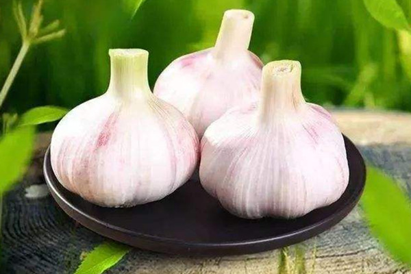 大蒜的熱量是多少 大蒜吃了會胖嗎 大蒜的熱量是多少 大蒜吃了會胖嗎