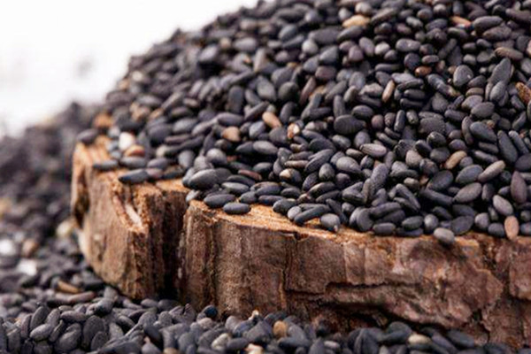 黑芝麻可以空腹吃嗎 黑芝麻什么時(shí)間吃效果好 黑芝麻可以空腹吃嗎 黑芝麻什么時(shí)間吃效果好