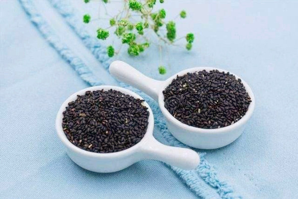 黑芝麻可以泡水喝嗎 黑芝麻可以補血嗎 黑芝麻可以泡水喝嗎 黑芝麻可以補血嗎