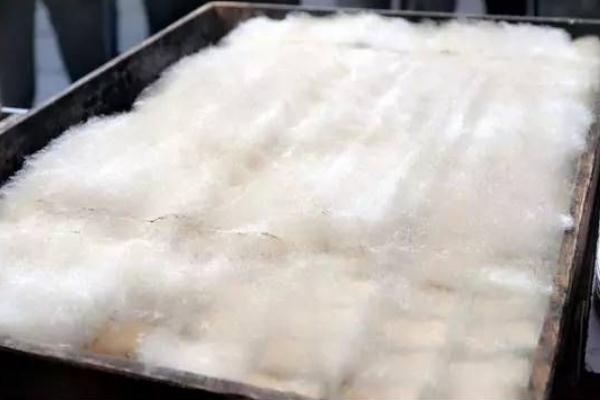 毛豆腐要不要通風(fēng) 毛豆腐要冷藏嗎 毛豆腐要不要通風(fēng) 毛豆腐要冷藏嗎