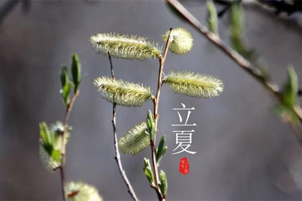 立夏的來歷和風(fēng)俗 立夏可以穿夏裝嗎 立夏的來歷和風(fēng)俗 立夏可以穿夏裝嗎