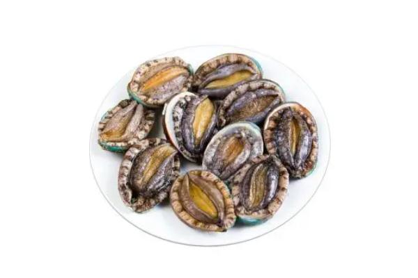 鮑魚(yú)有牙齒嗎 鮑魚(yú)有幾頭什么意思