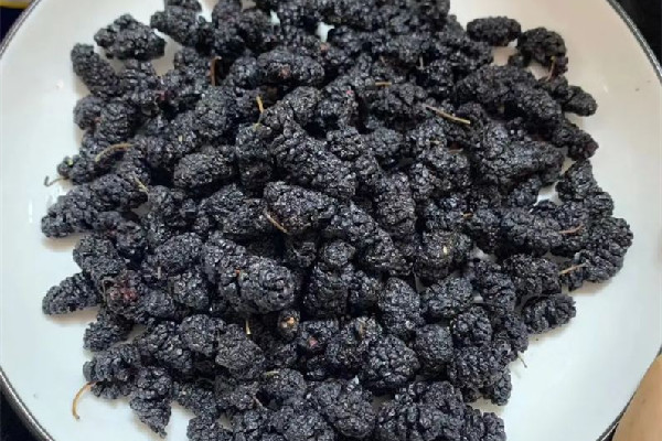 桑葚干用開水泡還是溫水泡 桑葚干用多少度的水泡最好 桑葚干用開水泡還是溫水泡 桑葚干用多少度的水泡最好