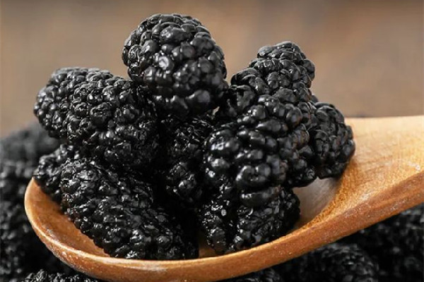 桑葚干用開水泡還是溫水泡 桑葚干用多少度的水泡最好 桑葚干用開水泡還是溫水泡 桑葚干用多少度的水泡最好