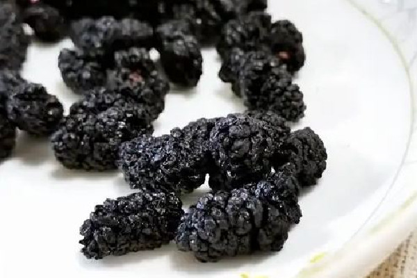 桑葚干直接吃好還是泡水好 桑葚干直接吃有營養(yǎng)嗎 桑葚干直接吃好還是泡水好 桑葚干直接吃有營養(yǎng)嗎