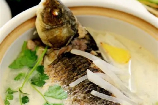 鯽魚(yú)湯用老豆腐好還是嫩豆腐好 鯽魚(yú)湯和什么最佳搭配