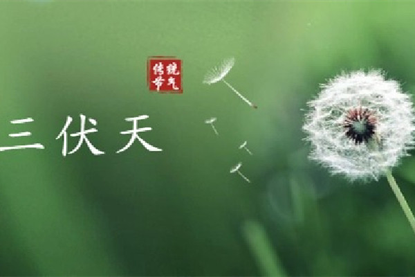 伏天有公伏和母伏之分嗎 伏天有什么說法