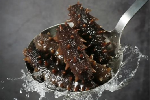 海參是哪里產的最好 海參的等級如何區(qū)別
