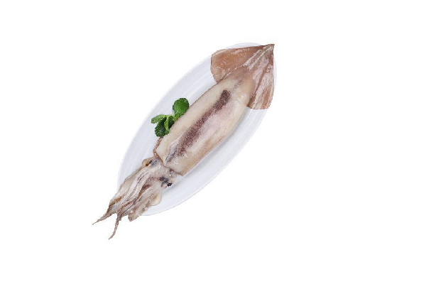 新鮮魷魚(yú)會(huì)有寄生蟲(chóng)嗎 新鮮魷魚(yú)可以生腌嗎