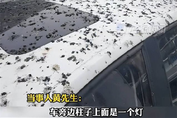 男子停車(chē)半小時(shí)車(chē)身獨(dú)得鳥(niǎo)屎全覆蓋 停車(chē)為什么要收費(fèi)