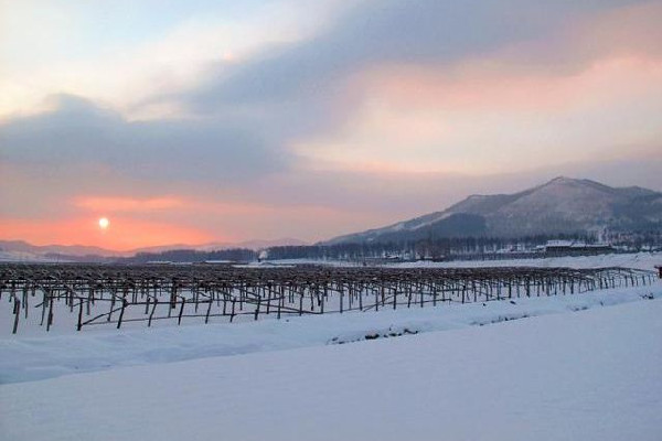 數(shù)九是按陰歷還是陽歷 數(shù)九的來歷和風(fēng)俗 數(shù)九是按陰歷還是陽歷 數(shù)九的來歷和風(fēng)俗