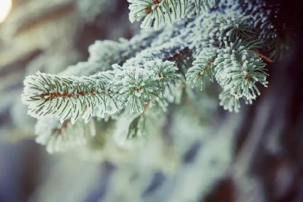 數(shù)九是按陰歷還是陽歷 數(shù)九的來歷和風(fēng)俗 數(shù)九是按陰歷還是陽歷 數(shù)九的來歷和風(fēng)俗