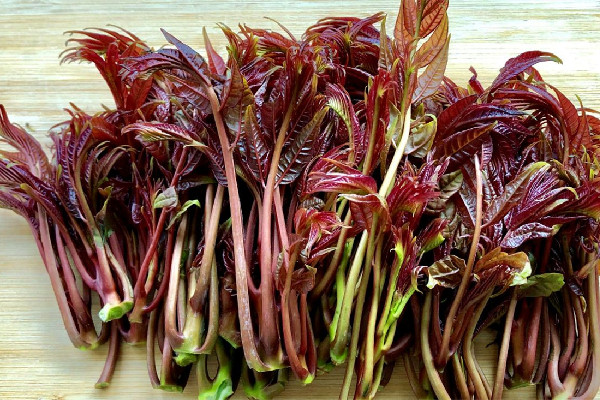“春芽刺客”每斤138元?種植戶(hù)發(fā)聲 香椿芽為什么那么貴