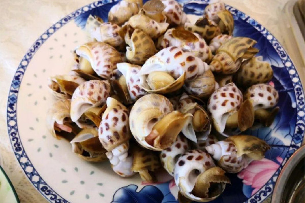 花螺有寄生蟲(chóng)嗎 花螺可以生吃嗎