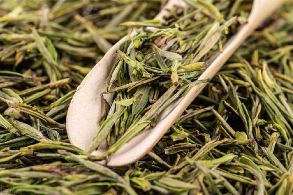 茶農(nóng)稱(chēng)赤腳踩茶葉是傳統(tǒng)工藝 茶葉是怎么制作出來(lái)的 茶農(nóng)稱(chēng)赤腳踩茶葉是傳統(tǒng)工藝 茶葉是怎么制作出來(lái)的