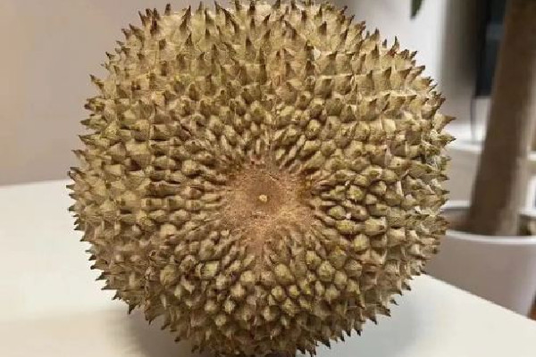 黑刺榴蓮多少錢一斤 黑刺榴蓮是什么品種 黑刺榴蓮多少錢一斤 黑刺榴蓮是什么品種